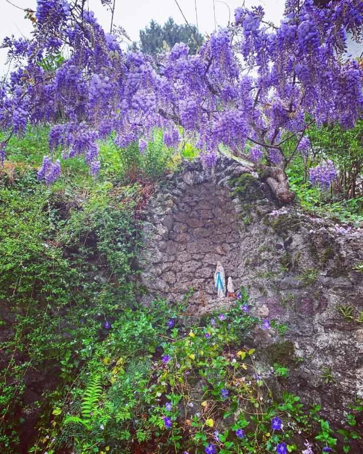 La Mansarda Di Casa Vacanze La Vite Bordogna Dış mekan fotoğraf