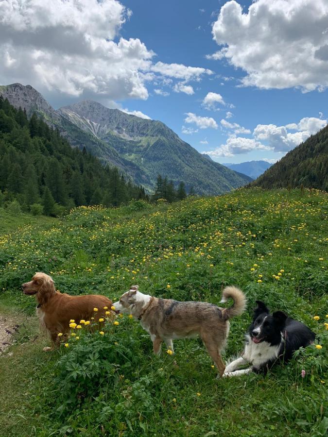 La Mansarda Di Casa Vacanze La Vite Bordogna Dış mekan fotoğraf