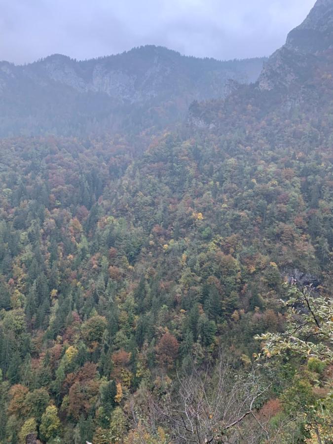 La Mansarda Di Casa Vacanze La Vite Bordogna Dış mekan fotoğraf